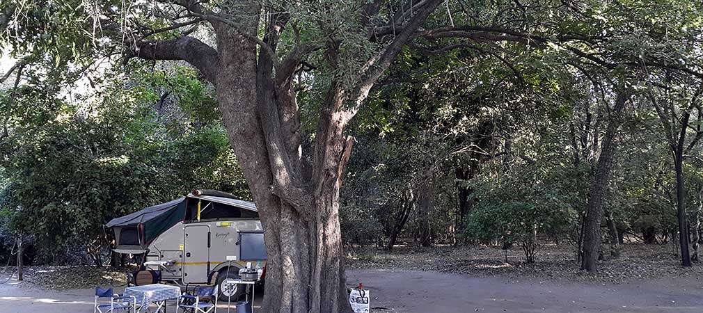 Drotsky's Cabins has 20 large campsites